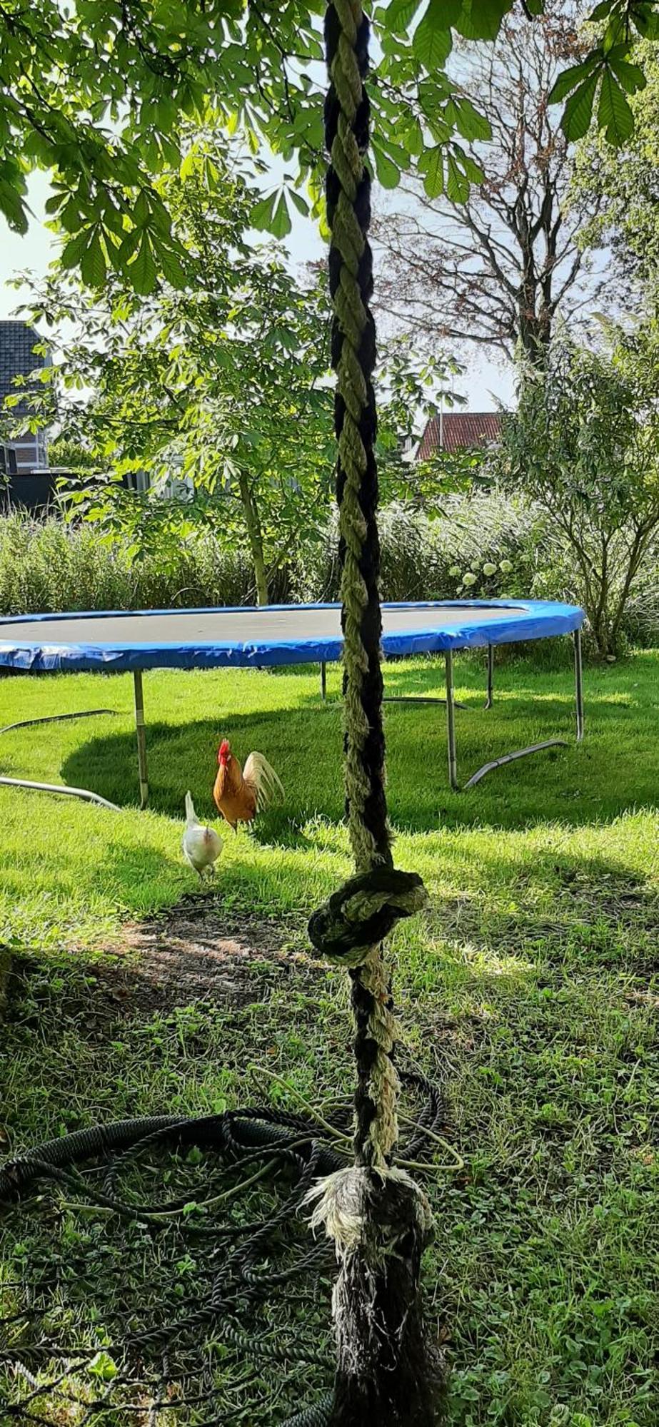 Tobornottob Villa Oosternijkerk Kültér fotó